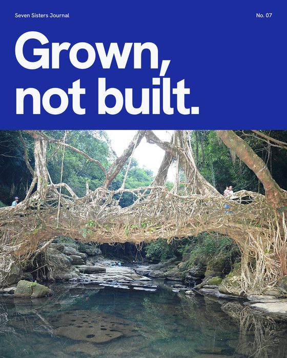 Concept poster. Grown, not built, over a living root bridge in Meghalaya